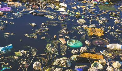 Europese richtlijn voor minder wegwerpplastic in zee (SUP-richtlijn)